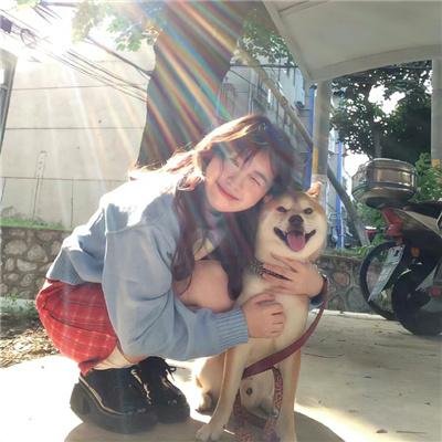 志愿军：浴血和平